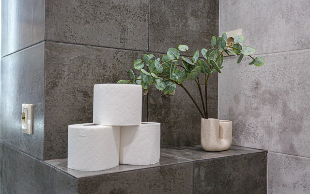 Квартира у Петровны на Гордеевской