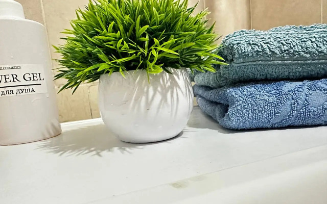 Квартира на Зварыгина 20