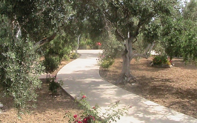 Afroditi Villa