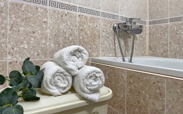 Двухкомнатные Апартаменты Люкс  на 9 человек в курортной зоне Ессентуков