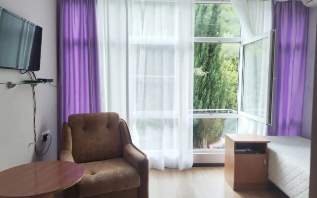 Svirskaya Tishina Guest House