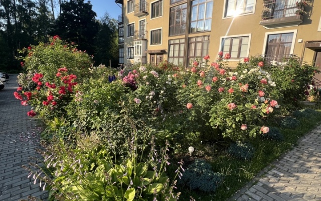 Квартира Цветочный Светлогорск