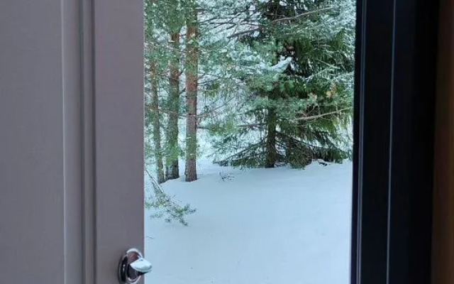 Частный Дом на Территории Ниемеля 17