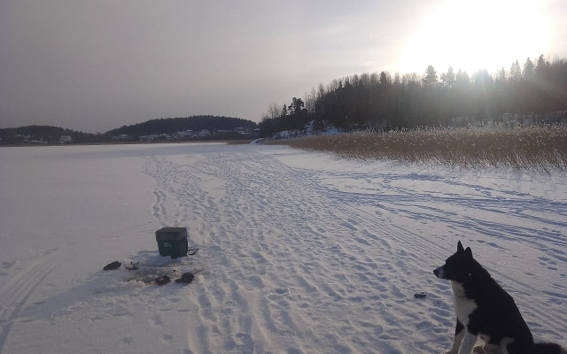 Гостевой дом с сауной Карелия-Ярви