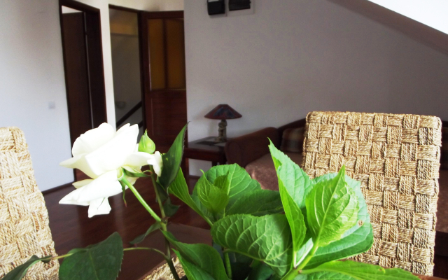 Апартаменты Будва Центр