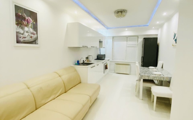 Prostornaya Yevro2 V Samom Tsentre Pl Ordzhonikidze Flat