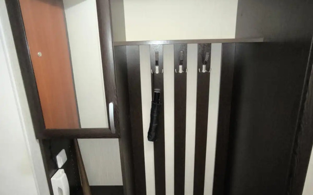 Квартира Просторная Однушка Рядом с Метро