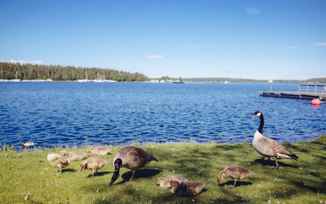 Saimaa Life Apartments