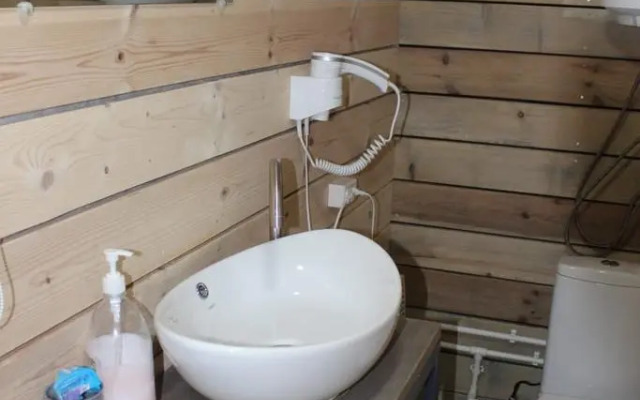 Частный дом в берёзовой роще