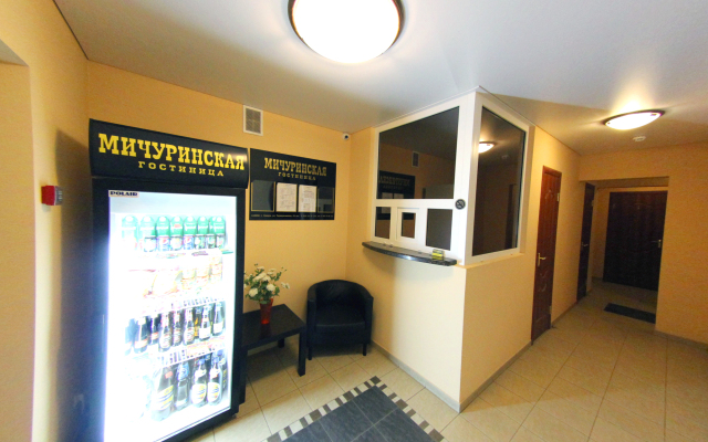 Gostinitca Michurinskaya Hotel
