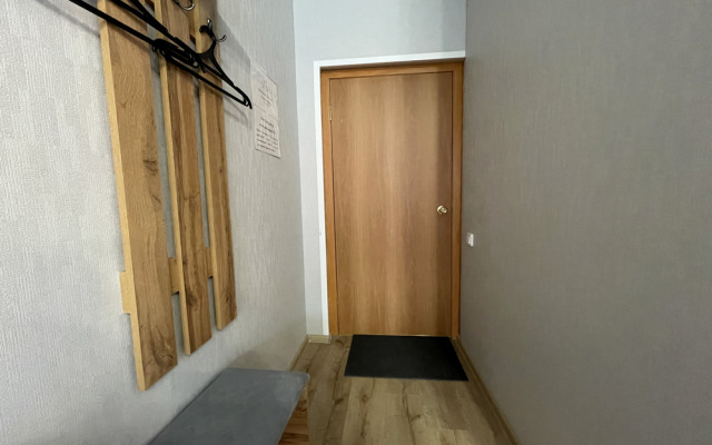 Studiya U Aeroporta Apartments