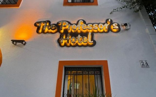 Отель The Professor's Hotel