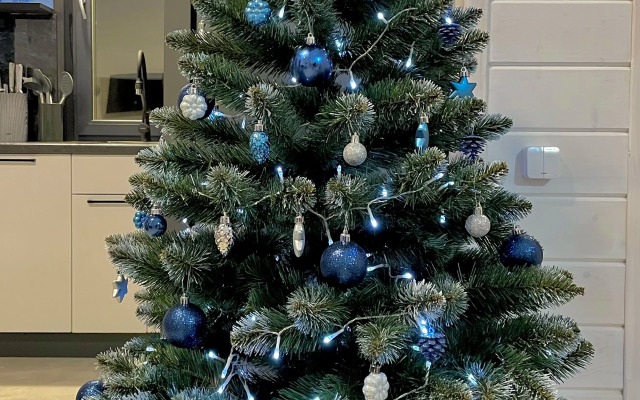 Частный  Дом Переславские Соловушки