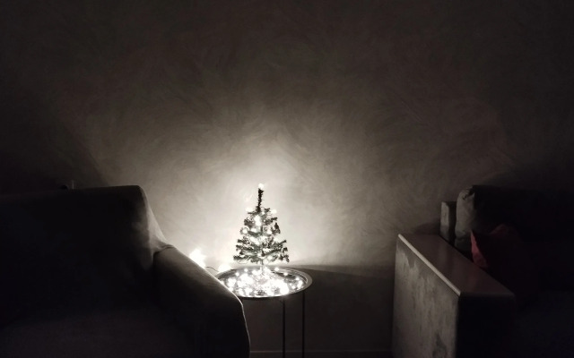 Квартира Светлая