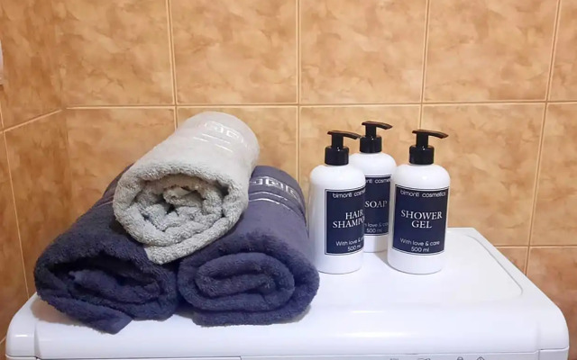 Квартира теплая студия Pogostim