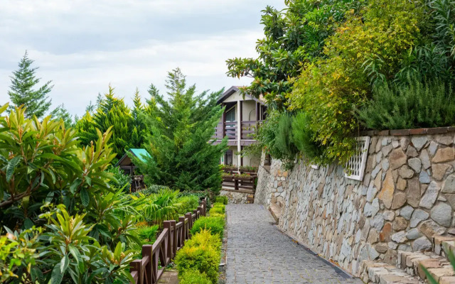 Spa Hotel Dachi Resort