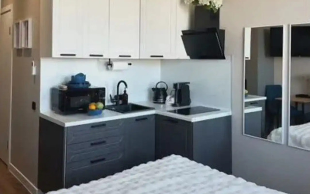 Апартаменты Студия Кремаль Измайлова