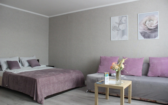 Апартаменты ВыДома на Энергетиков у Областной Больницы