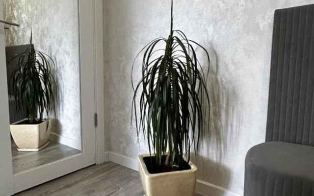 Квартира в центре Ворошиловского района