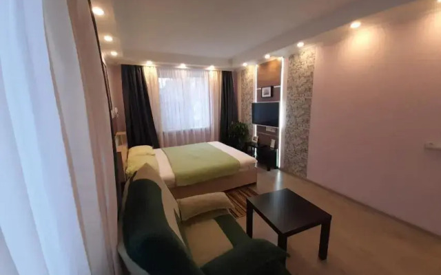 Апартаменты с 1 комнатой недалеко от проспекта Ленина (КВАРТИРА51)