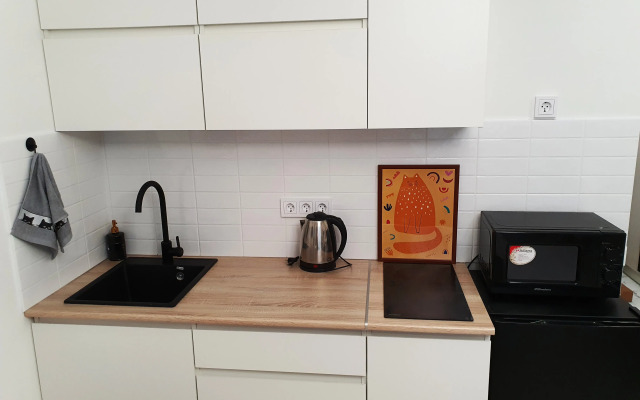 Квартира LanaRoom 10970