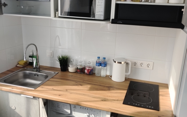 Uyutnaya Studiya U Parka Flat