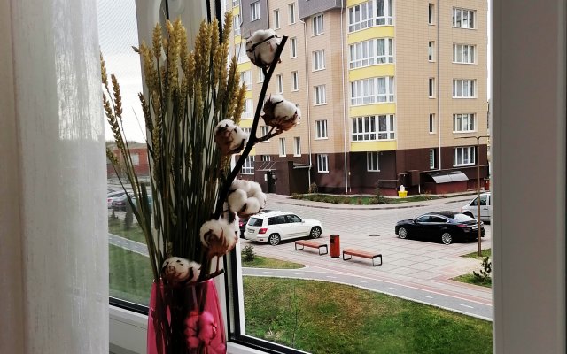 Zelenogradsk Kranc Park Odnokomnatnye Apartment