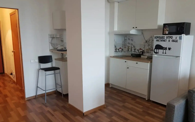 Апартаменты Студия с Панорамными Окнами