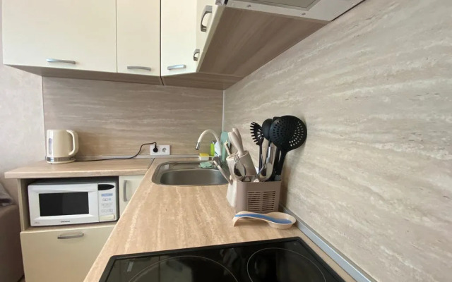 Na Fermerskom Pereulke 2/1 Flat