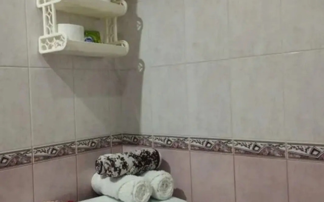 V Tsentre Goroda Flat