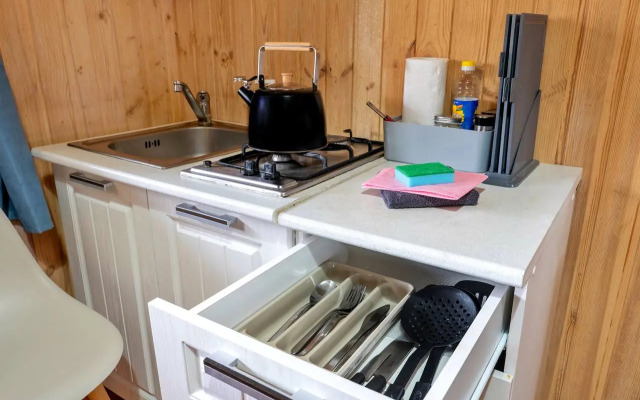 Частный дом Ладожские дюны