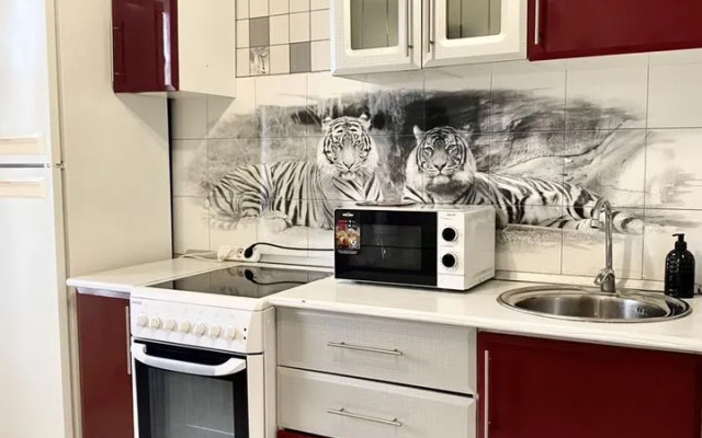 Квартира на Чкалова 65 (6/4)