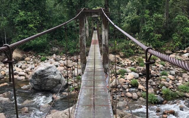 Moon Hill Resort Munnar ( Nature Retreat )