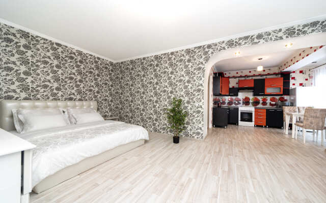 Ogromnaya Studiya Na Myastrovskoy Apartments