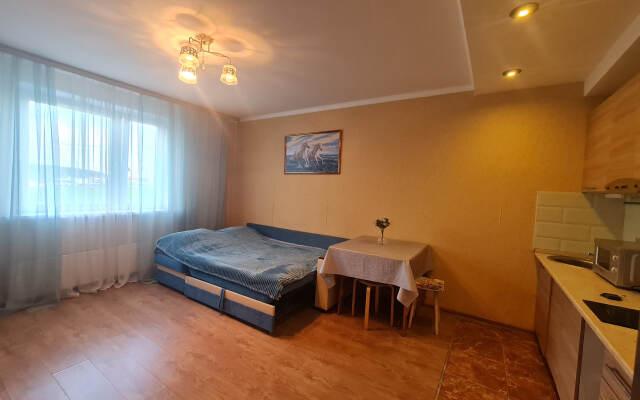 Na Ulitse Kuryzhova 16 Flat