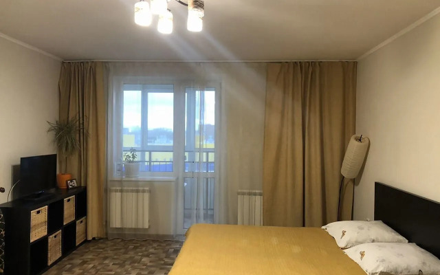 Апартаменты 58 на улице Елизаровых 15/1