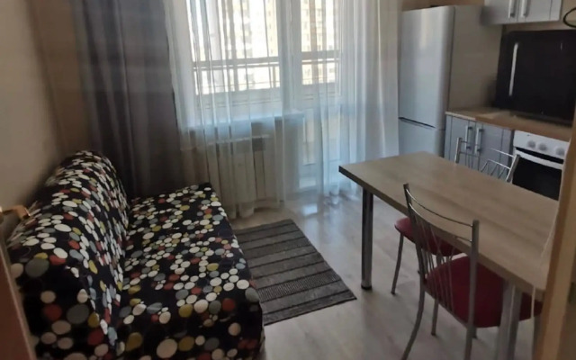 Квартира на Красном проспекте 305/1