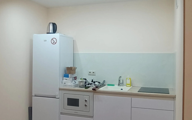Dvukhkomnatnye apartamenty vozle Kremlya, nedaleko Ds Kristal Flat