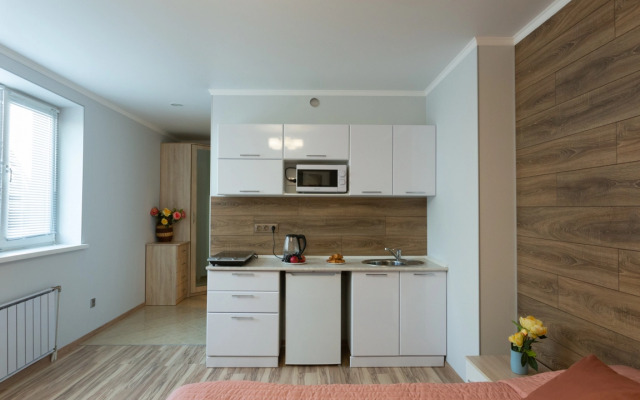 Комфортные апартаменты Этажидейли Белинского 30