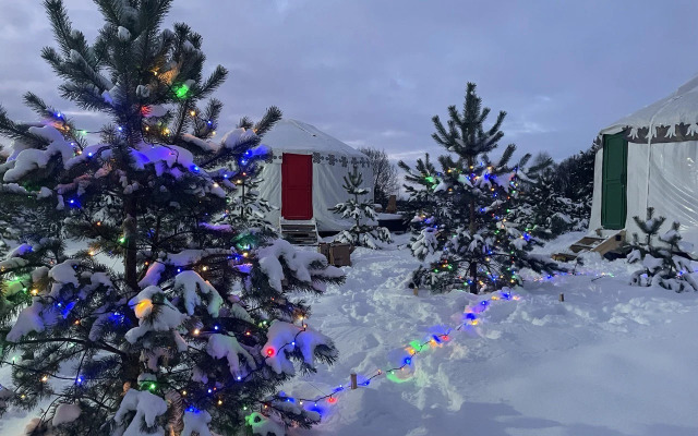 Buryatskaya Yurta Altyn Saray Glamping