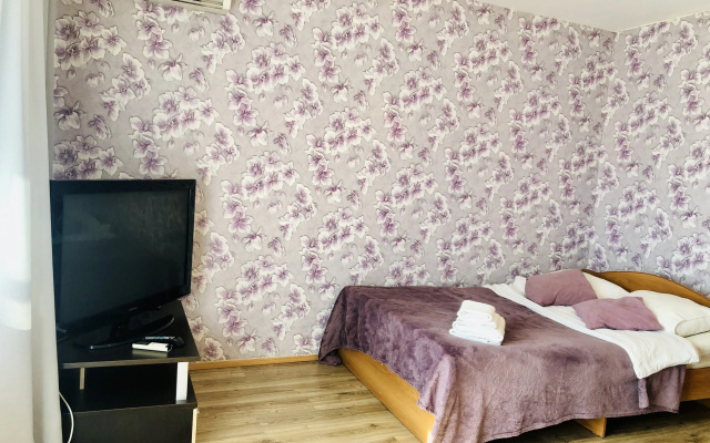 Apartamenty Udobnaa dvuska na Kasirinyh