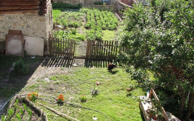 Mazeri Guest House