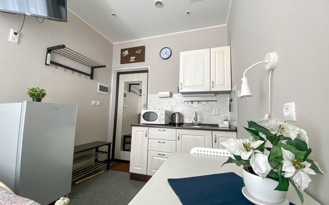 Апартаменты Студии Настроение