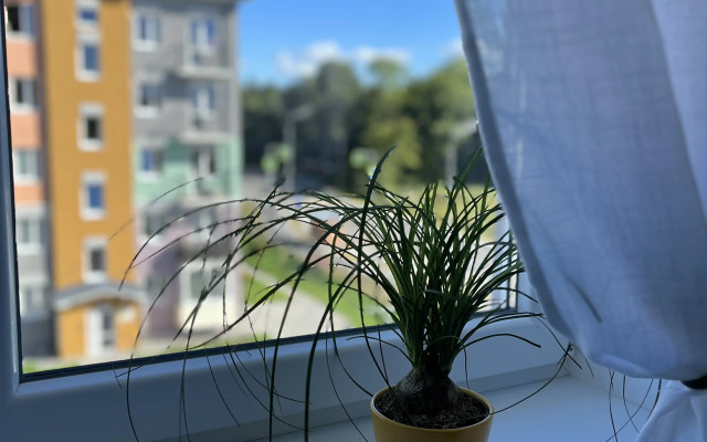 Квартира у моря