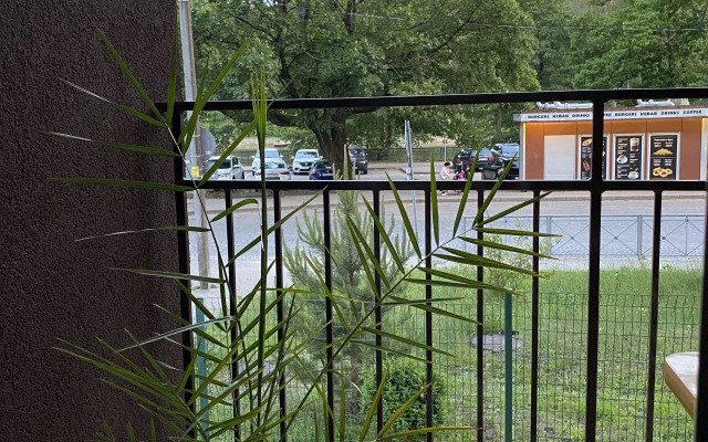 Апартаменты Ирина Светлогорск