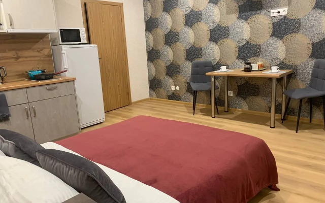 Квартира Живи в Песочном на Садовой 85 просторная студия