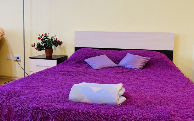 Апартаменты Заречье