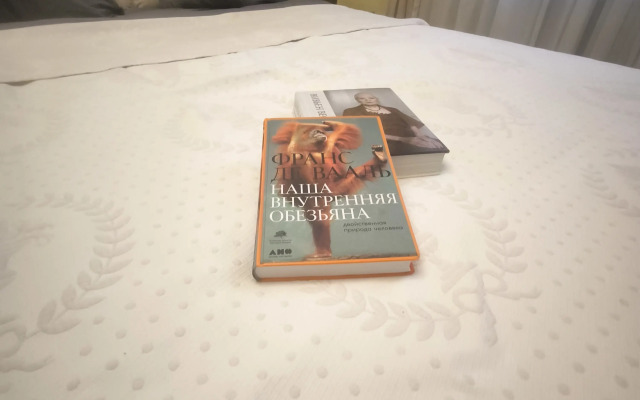 Квартира Уютная 1 Комнатная на Донском 6с1