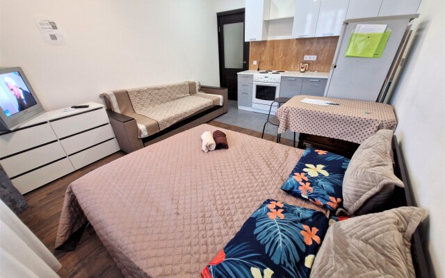 V Novom Pushkino Flat