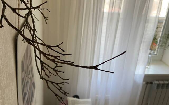 S Vidom Ptich'ego Poleta Apartments